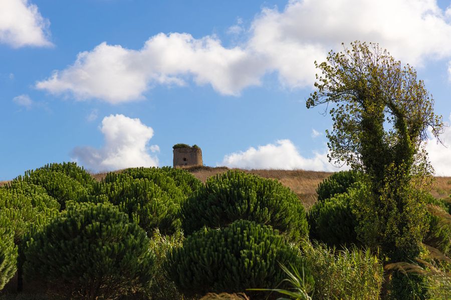 Paisagem verde com arbustos e uma torre antiga ao fundo, sob céu azul com nuvens