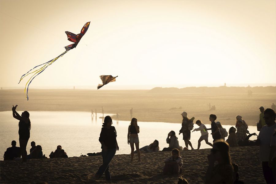 Papagaios de papel a voar sobre a praia ao fim da tarde