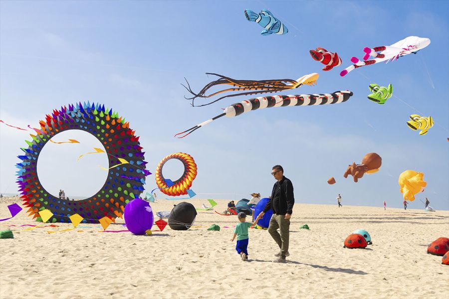Festival de papagaios gigantes e coloridos na praia