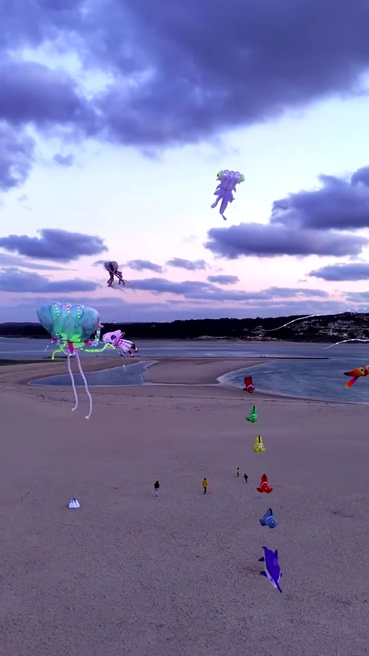 Vídeo de um festival de papagaios na praia